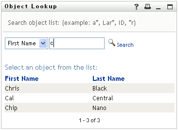 After a search, the object lookup page also displays search results