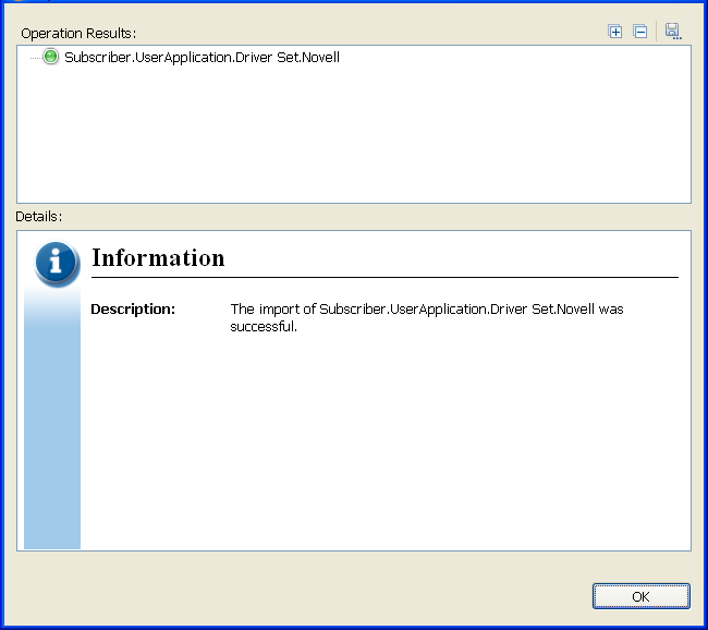 The Import Results window