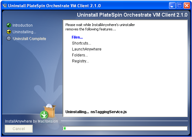 VM Client Uninstallation Wizard - Uninstalling Page
